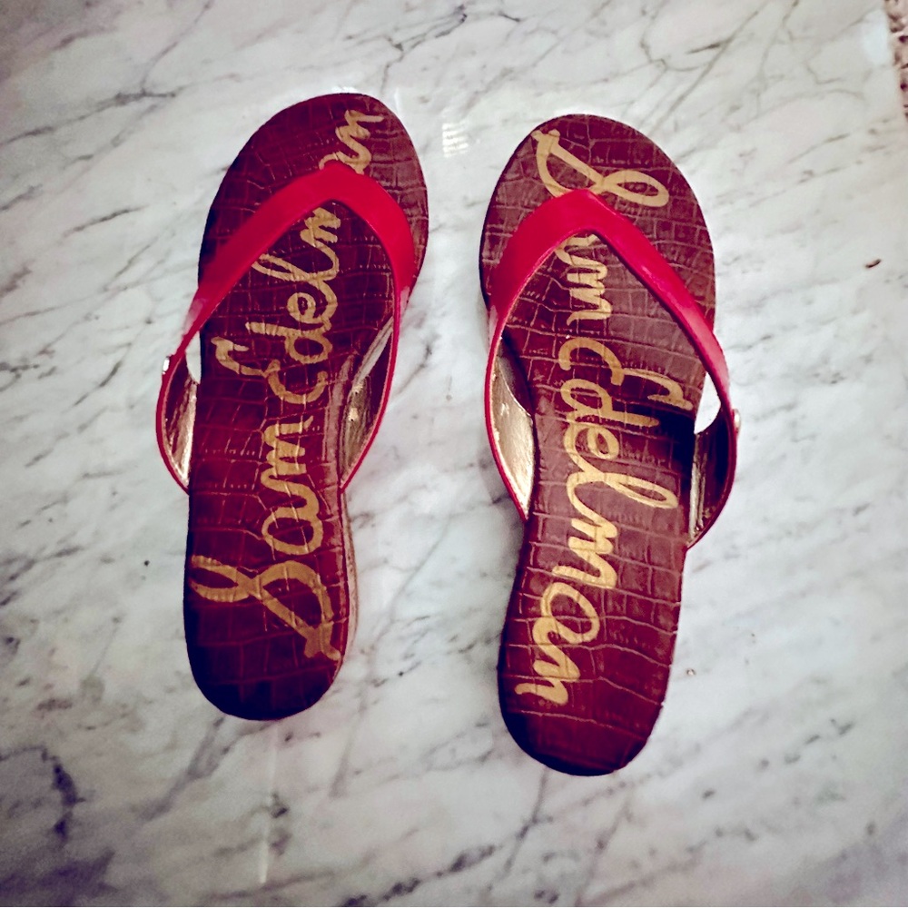Sam Edelman Red and Brown Sandals